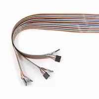 PTC064-2xx20-1x24DIL Cable Assembly